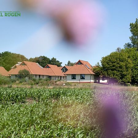 Jugendtours-Feriendorf Ummanz Ngoại thất bức ảnh