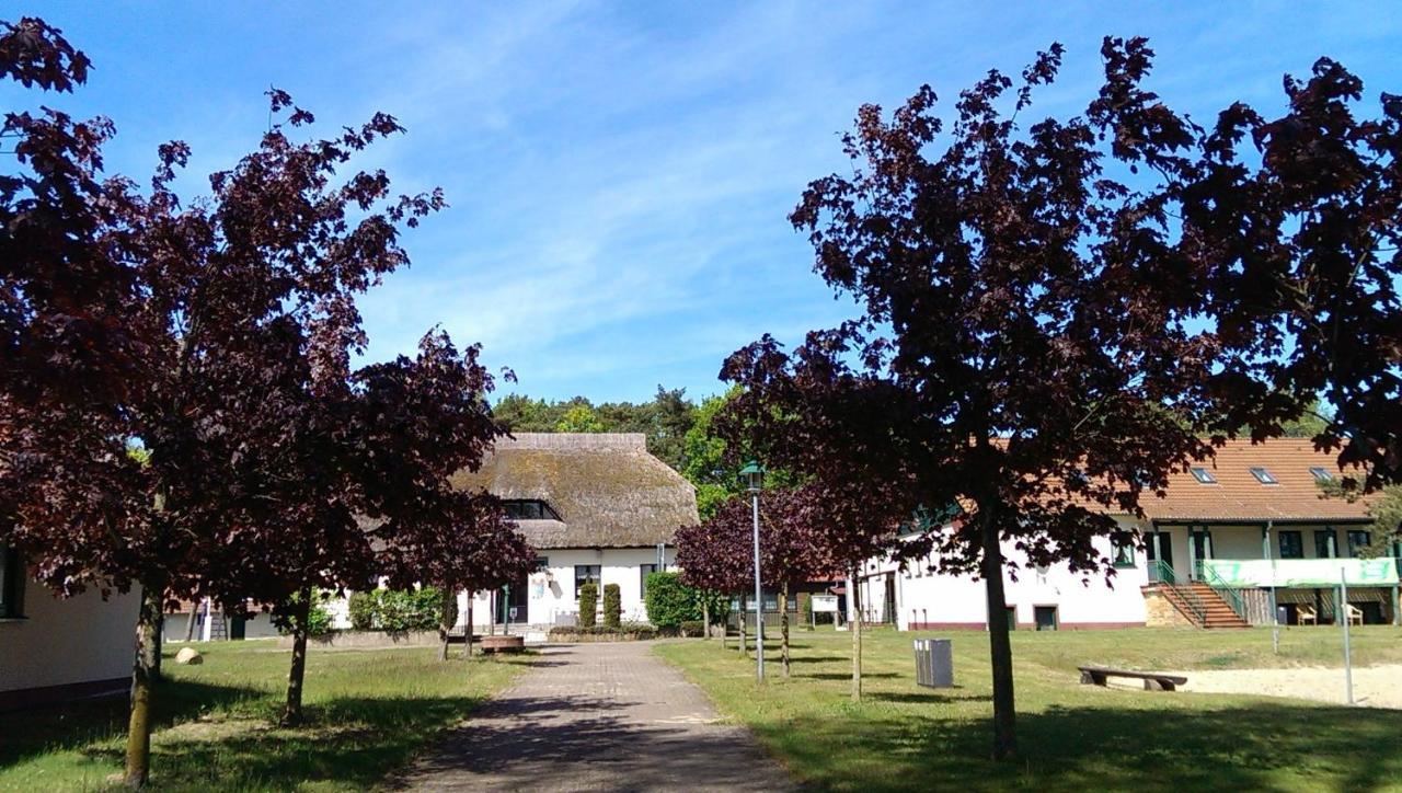 Jugendtours-Feriendorf Ummanz Ngoại thất bức ảnh