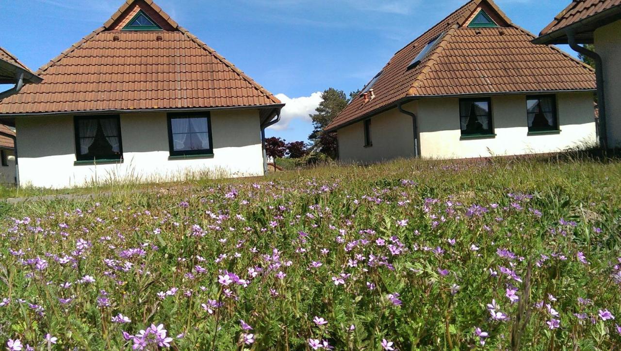 Jugendtours-Feriendorf Ummanz Ngoại thất bức ảnh