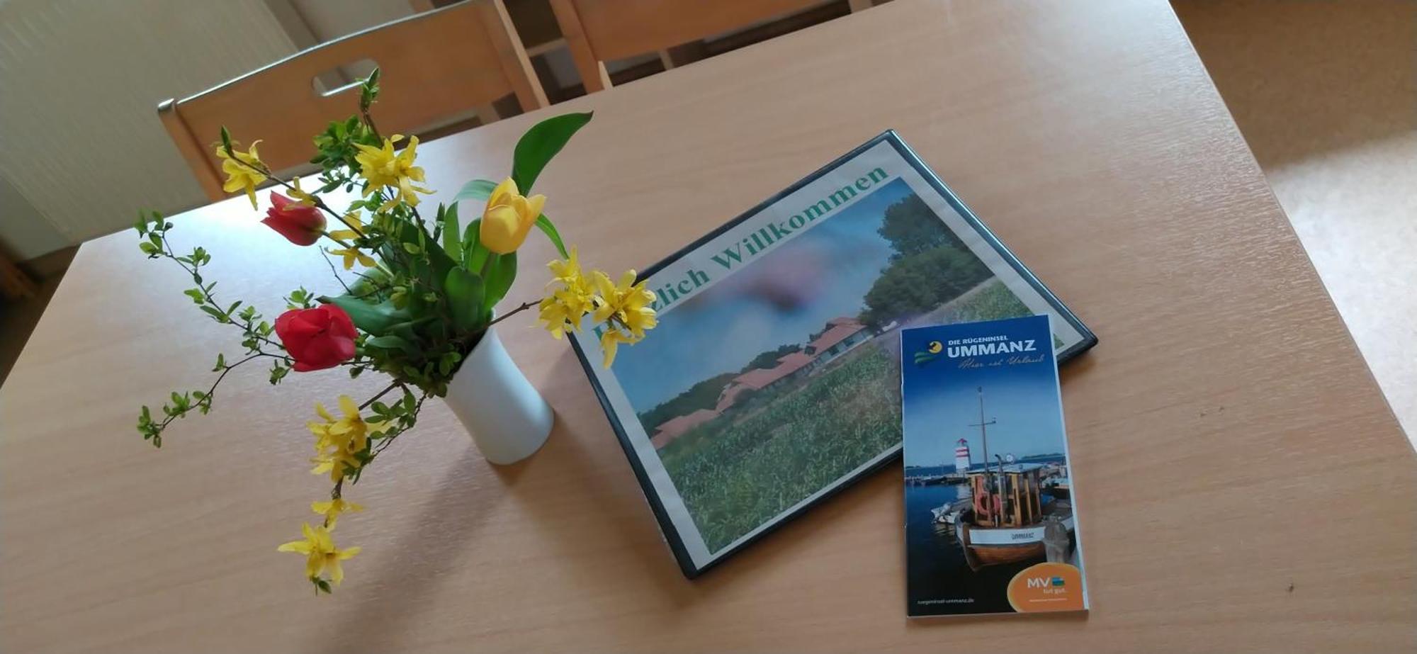 Jugendtours-Feriendorf Ummanz Ngoại thất bức ảnh